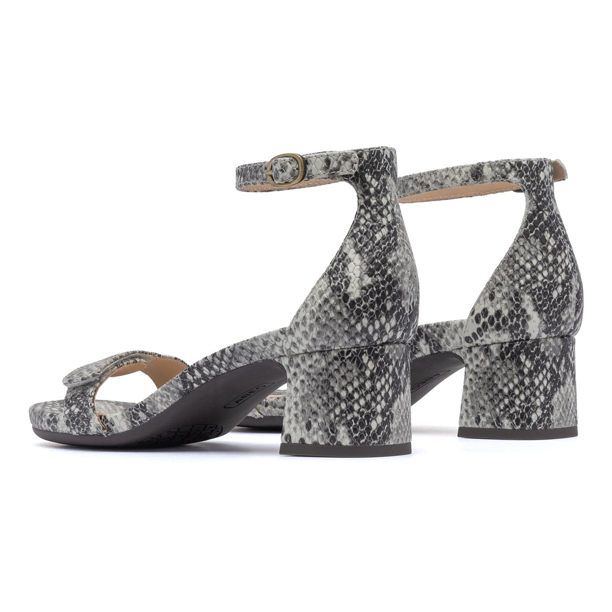 Avenue Strap Snake Print Leather | ABEO Footwear