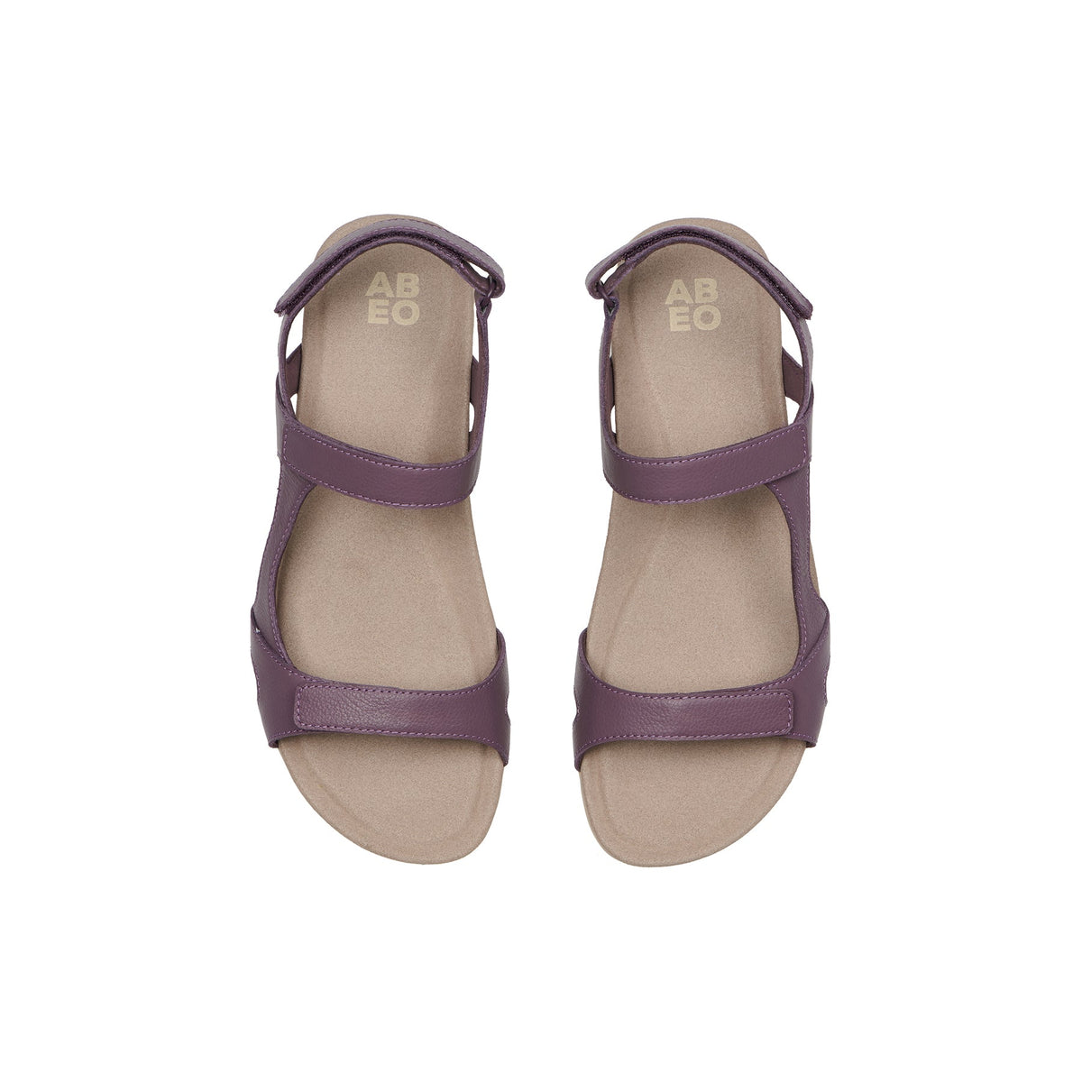 Oasis Sport Sandal Purple | ABEO Footwear