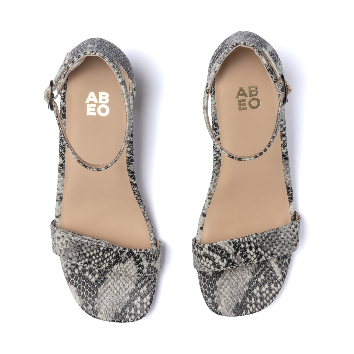 Avenue Strap Metatarsal Snake Print Leather | ABEO Footwear