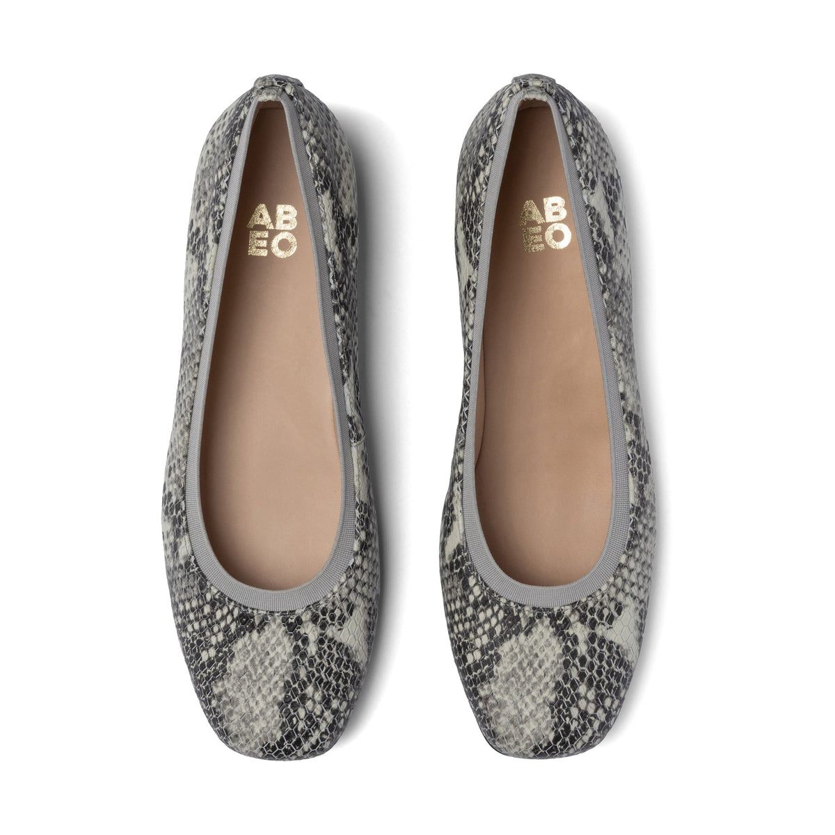 Cadence Ballet Snake | ABEO Footwear