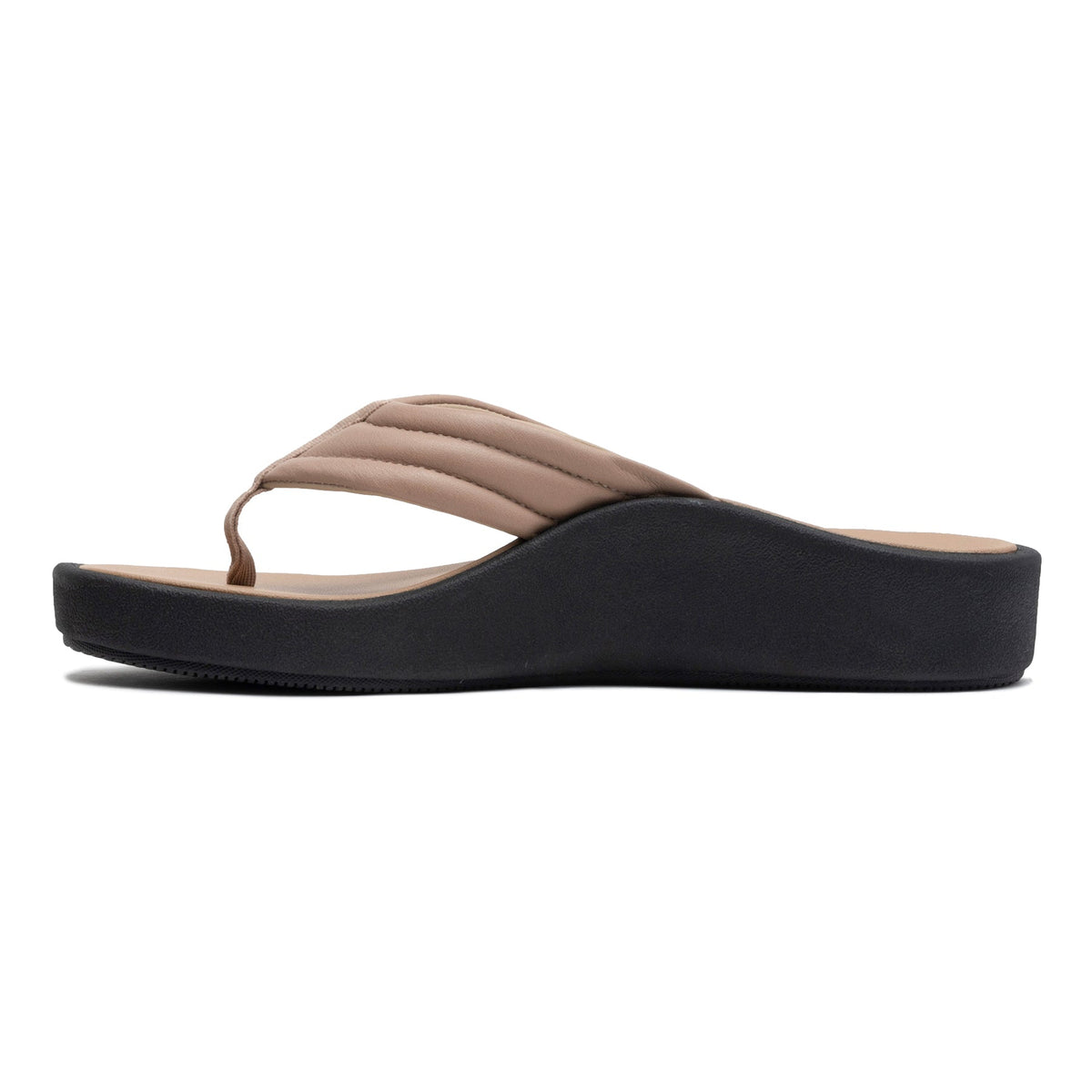 Paseo Thong Sandal Roebuck | ABEO Footwear